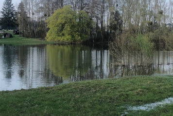 Updated water levels - 9