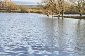 Current Water Levels - 6