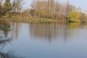 Updated water levels - 8