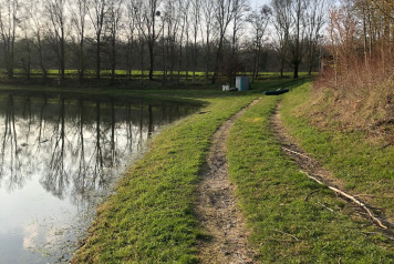 Updated water levels - 6