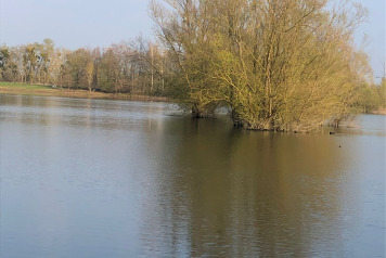 Updated water levels - 5