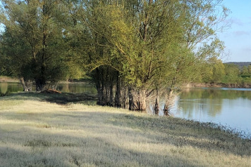 Water Level Update - 3