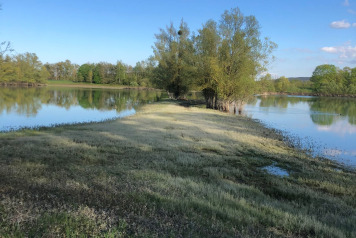 Water Level Update - 12