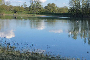 Water Level Update - 1