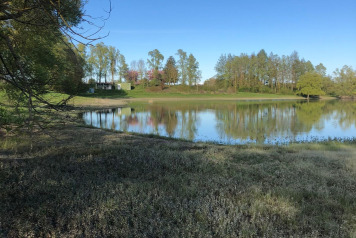 Water Level Update - 11