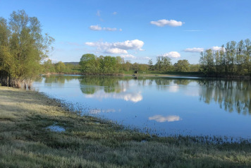 Water Level Update - 10