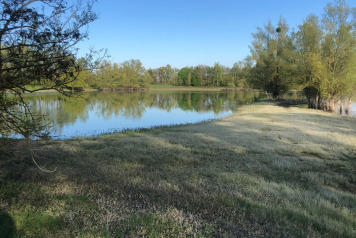 Water Level Update - 9