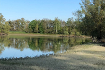 Water Level Update - 8