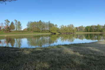 Water Level Update - 7