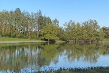 Water Level Update - 5