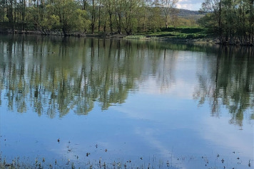 Water Level Update - 4