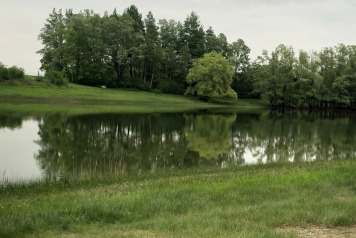 Water Level Update - 11
