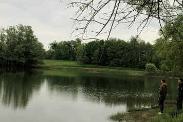 Water Level Update - 10
