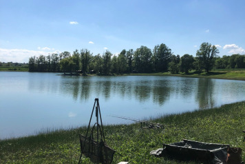 Water Level Update - 2