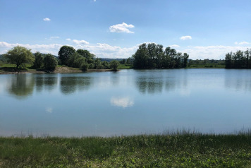 Water Level Update - 5