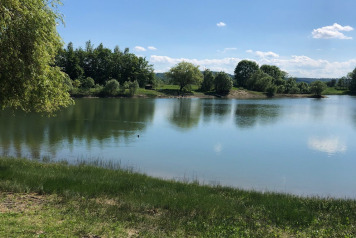 Water Level Update - 6