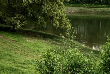 Water Level Update - 7