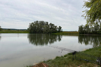 Water Levels - 1