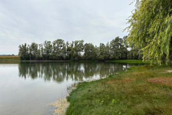 Water Levels - 2