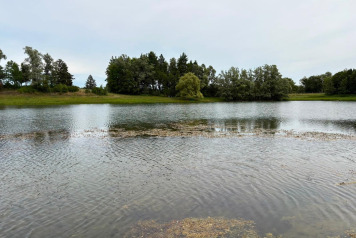 Water Levels - 3