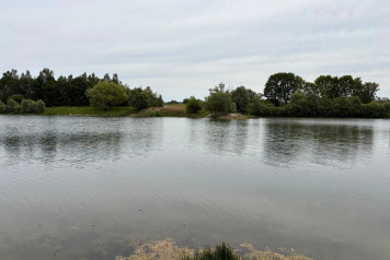 Water Levels - 4