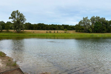 Water Levels - 5
