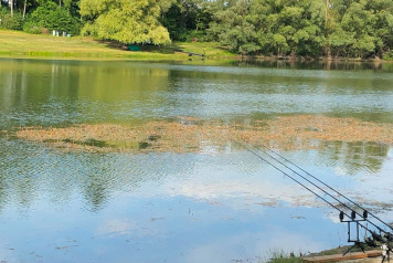 Lake Update - 1