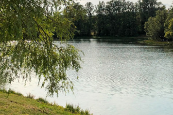 Lake Update - 3