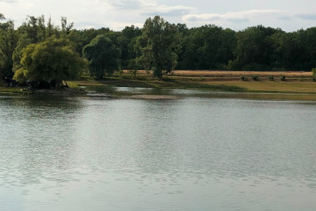 Lake Update - 4