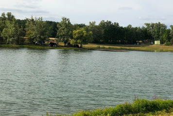Lake Update - 5