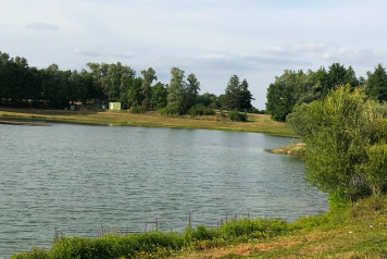 Lake Update - 6
