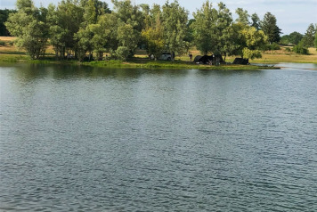 Lake Update - 8