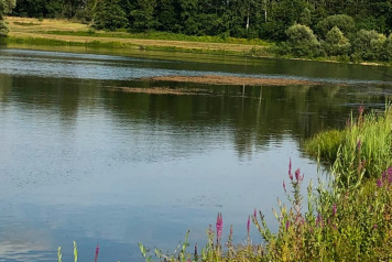 Lake Update - 9