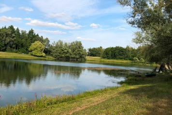Lake Update - 10