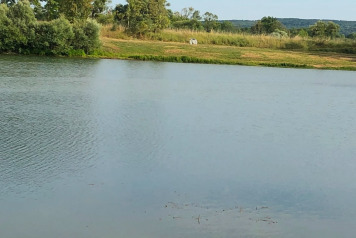 Lake Update - 11