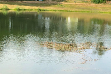 Lake Update - 14