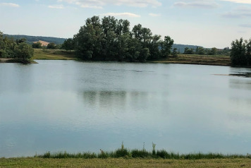 Lake Update - 15