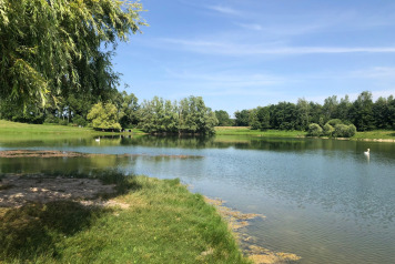 Water Levels - 4