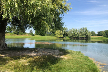 Water Levels - 1