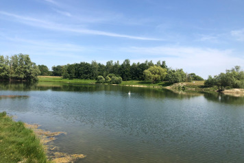Water Levels - 10