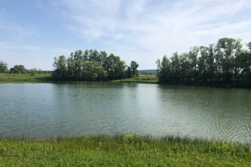 Water Levels - 11
