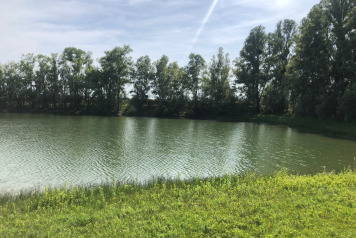 Water Levels - 7