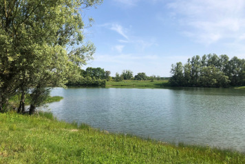Water Levels - 8