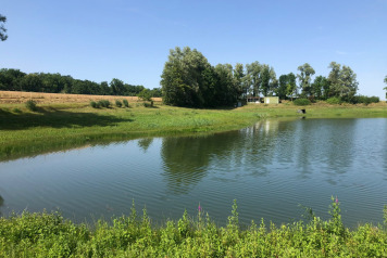 Water Levels - 5