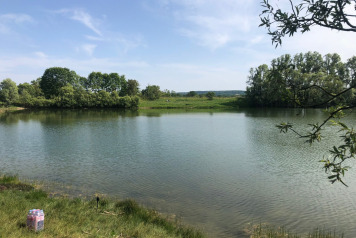 Water Levels - 6