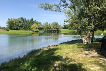 Water Levels - 3