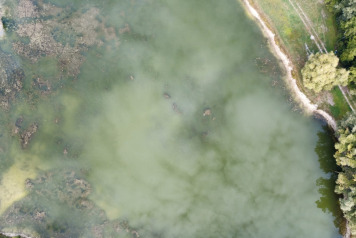 Drone Shots - 2