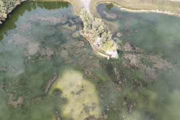 Drone Shots - 4