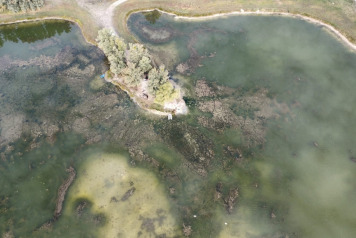Drone Shots - 5