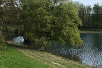 Water Level Update - 3